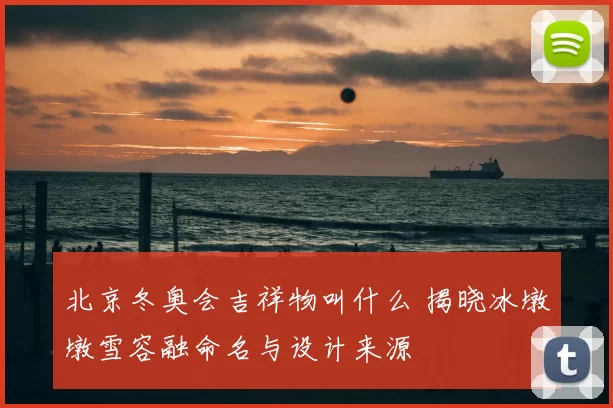 北京冬奥会吉祥物叫什么 揭晓冰墩墩雪容融命名与设计来源