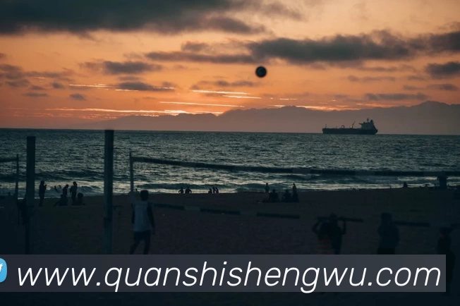 AOA网页版登录入口 - AOA(中国)平台生态图